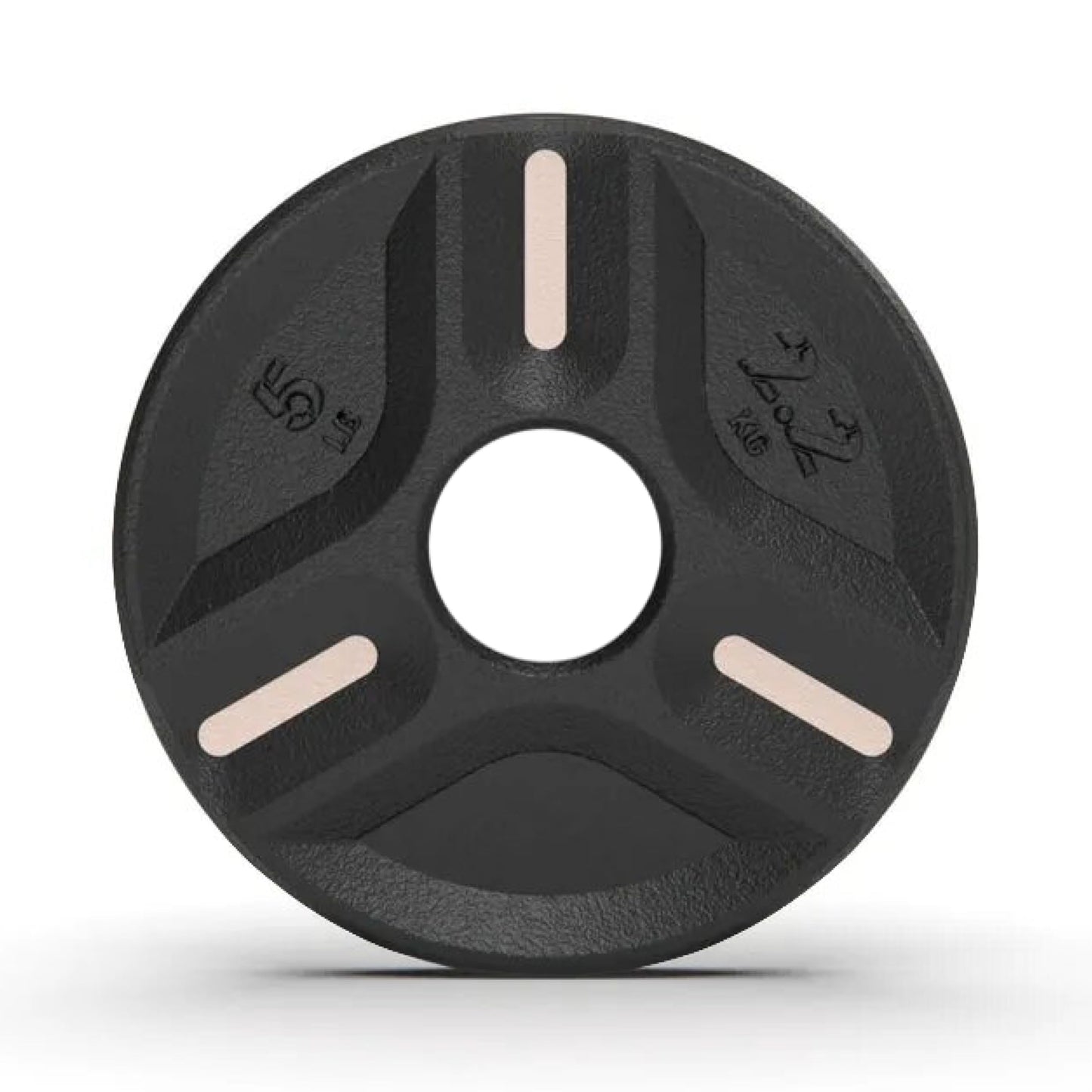 Cast Iron Plate Weights (5 Lbs) (1 Plate)