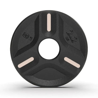 Cast Iron Plate Weights (5 Lbs) (1 Plate)