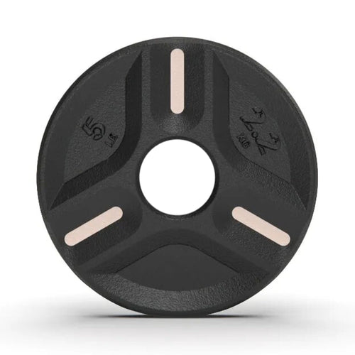 Cast Iron Plate Weights (5 Lbs) (1 Plate)